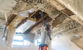 Best Post-Construction Mold Inspection  in Miamisburg, OH